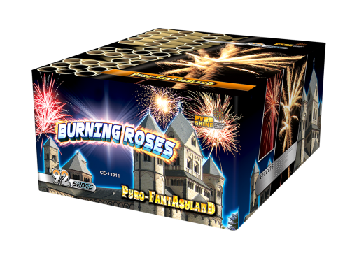 Ohňostroj  BURNING ROSES